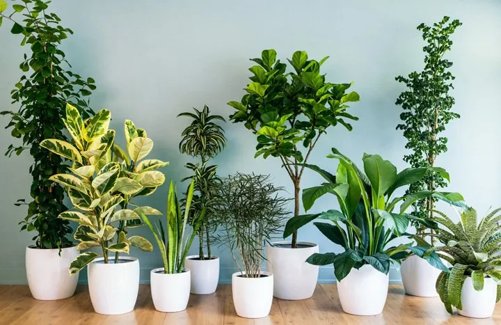 Những thứ có vẻ vô hại nhưng thực sự nguy hiểm cho em bé của bạn - Ảnh 6. Những thứ có vẻ vô hại nhưng thực sự nguy hiểm cho em bé của bạn - Ảnh 6.