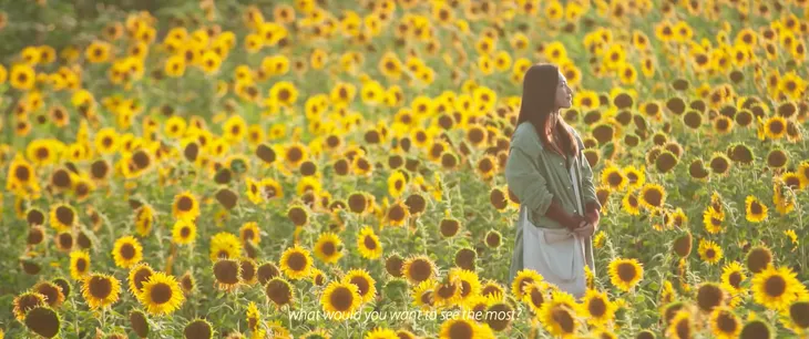 Nhắm mắt thấy mùa Hè: Giấc mộng của những người làm phim trẻ liệu có thành công? - Ảnh 6. Nhắm mắt thấy mùa Hè: Giấc mộng của những người làm phim trẻ liệu có thành công? - Ảnh 6.