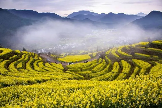 Mê đắm mùa hoa cải rực rỡ ở Bắc Kinh, Trung Quốc - Ảnh 8. Mê đắm mùa hoa cải rực rỡ ở Bắc Kinh, Trung Quốc - Ảnh 8.
