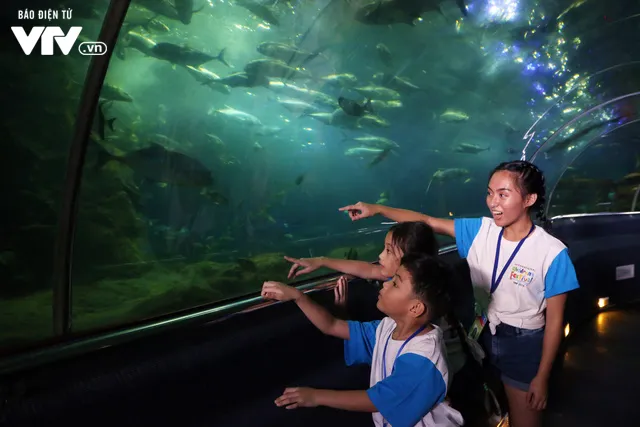 Liên hoan thiếu nhi quốc tế VTV: Các bạn nhỏ vui chơi thỏa thích ở Vinpearl Land Nha Trang - Ảnh 10. Liên hoan thiếu nhi quốc tế VTV: Các bạn nhỏ vui chơi thỏa thích ở Vinpearl Land Nha Trang - Ảnh 10.
