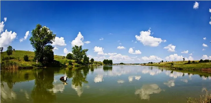 Khu bảo tồn thiên nhiên Srebarna tại Bulgaria - Ảnh 3. Khu bảo tồn thiên nhiên Srebarna tại Bulgaria - Ảnh 3.