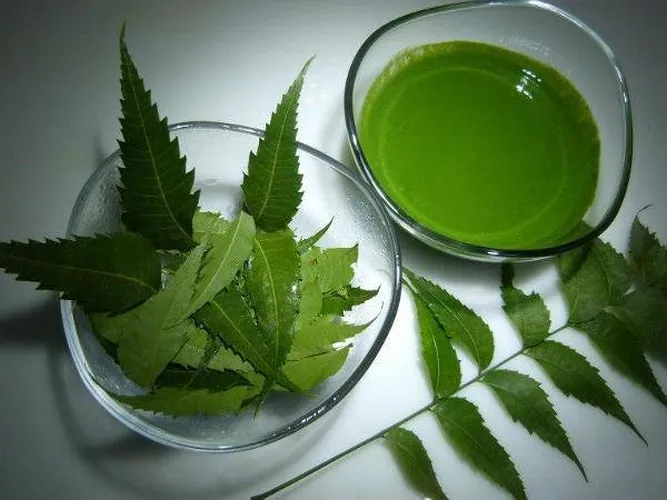 Mẹo trị mụn cóc hiệu quả bất ngờ mà không tốn kém - Ảnh 1. Mẹo trị mụn cóc hiệu quả bất ngờ mà không tốn kém - Ảnh 1.