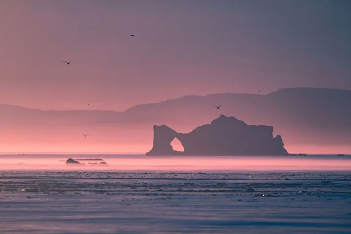 Ngắm vẻ đẹp siêu thực của vịnh băng Ilulissat - Ảnh 5.