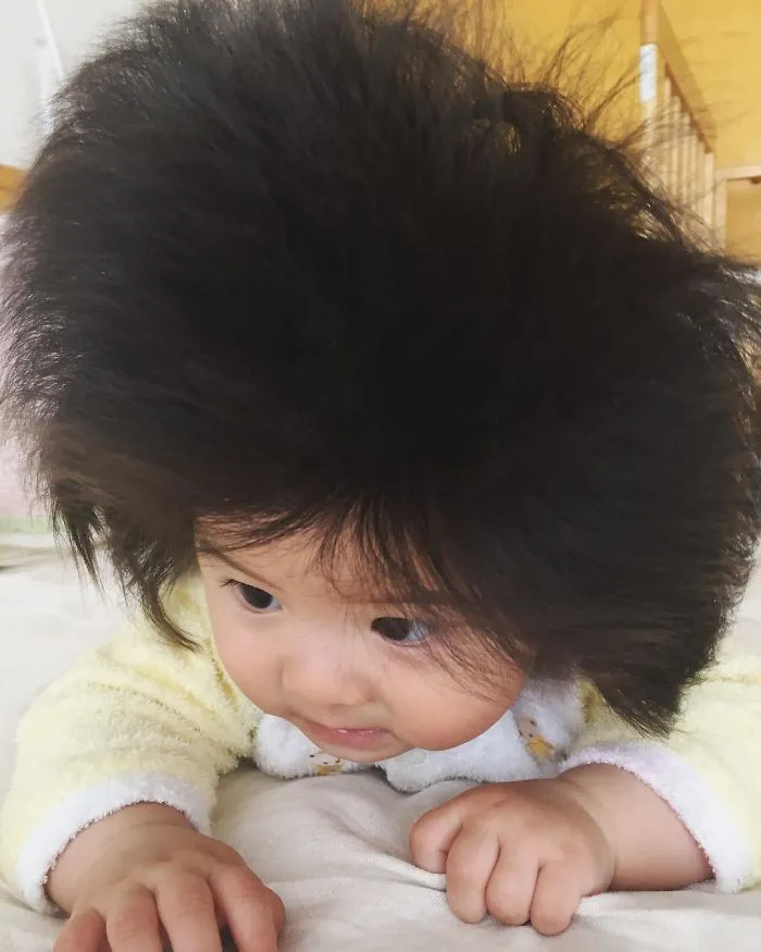 Bé gái 6 tháng tuổi gây sốt vì mái tóc dựng ngược có một không hai - Ảnh 4. Bé gái 6 tháng tuổi gây sốt vì mái tóc dựng ngược có một không hai - Ảnh 4.