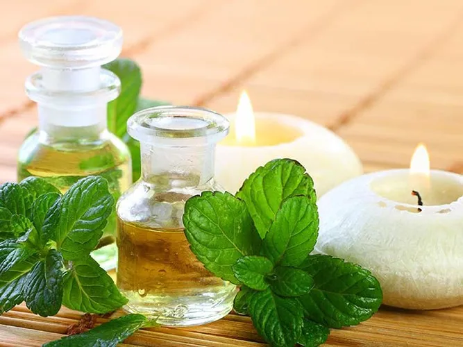 9 tác dụng phụ nguy hiểm của dầu bạc hà - Ảnh 1. 9 tác dụng phụ nguy hiểm của dầu bạc hà - Ảnh 1.