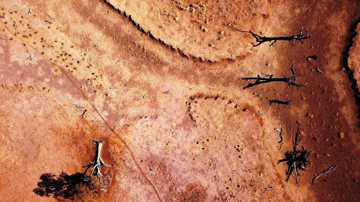 Australia hỗ trợ nông dân bị hạn hán - Ảnh 6. Australia hỗ trợ nông dân bị hạn hán - Ảnh 6.