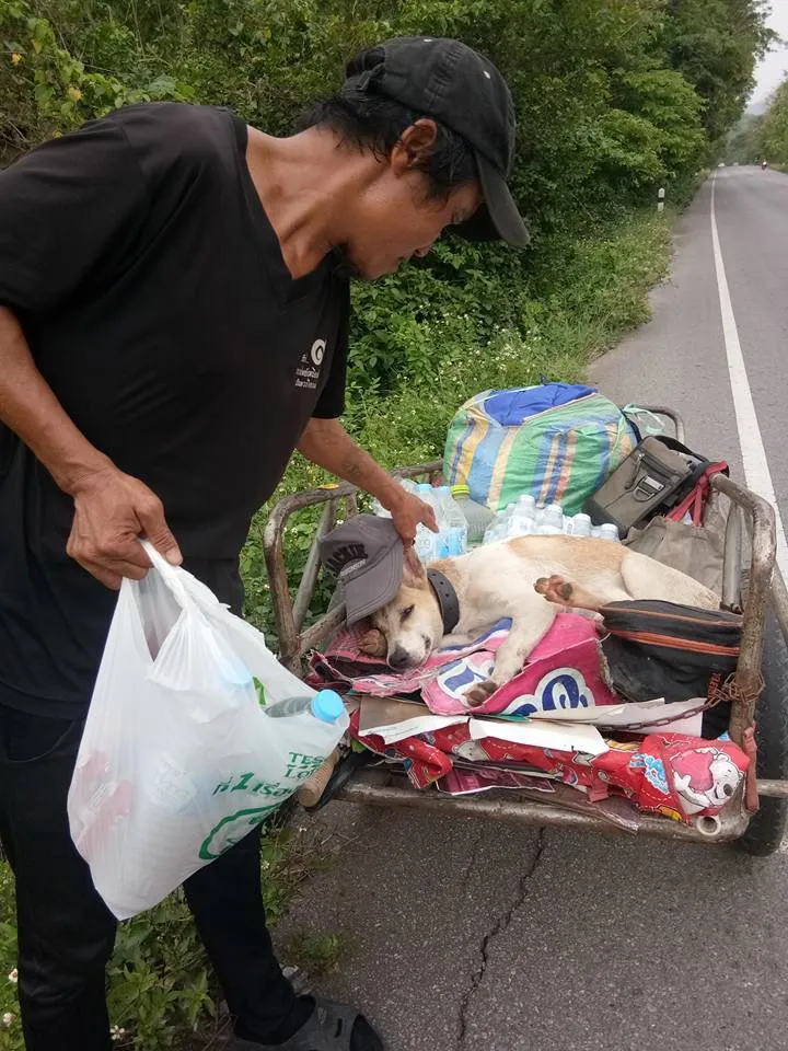 Thái Lan: Đi bộ 1.500km đưa tro cốt bạn gái lên núi - Ảnh 4. Thái Lan: Đi bộ 1.500km đưa tro cốt bạn gái lên núi - Ảnh 4.