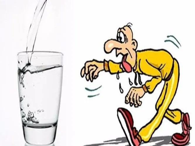 Lá sen - “Vị thuốc” bất ngờ chữa bách bệnh - Ảnh 6. Lá sen - “Vị thuốc” bất ngờ chữa bách bệnh - Ảnh 6.