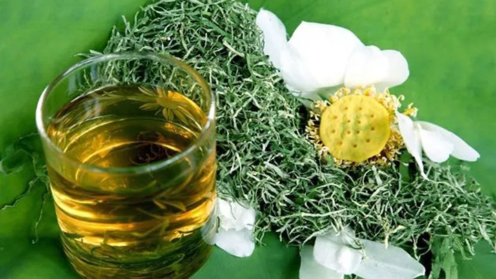 Lá sen - “Vị thuốc” bất ngờ chữa bách bệnh - Ảnh 8. Lá sen - “Vị thuốc” bất ngờ chữa bách bệnh - Ảnh 8.