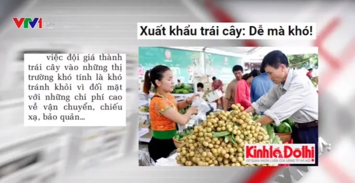 Mở thêm nhiều cơ hội xuất khẩu trái cây tươi - Ảnh 1. Mở thêm nhiều cơ hội xuất khẩu trái cây tươi - Ảnh 1.