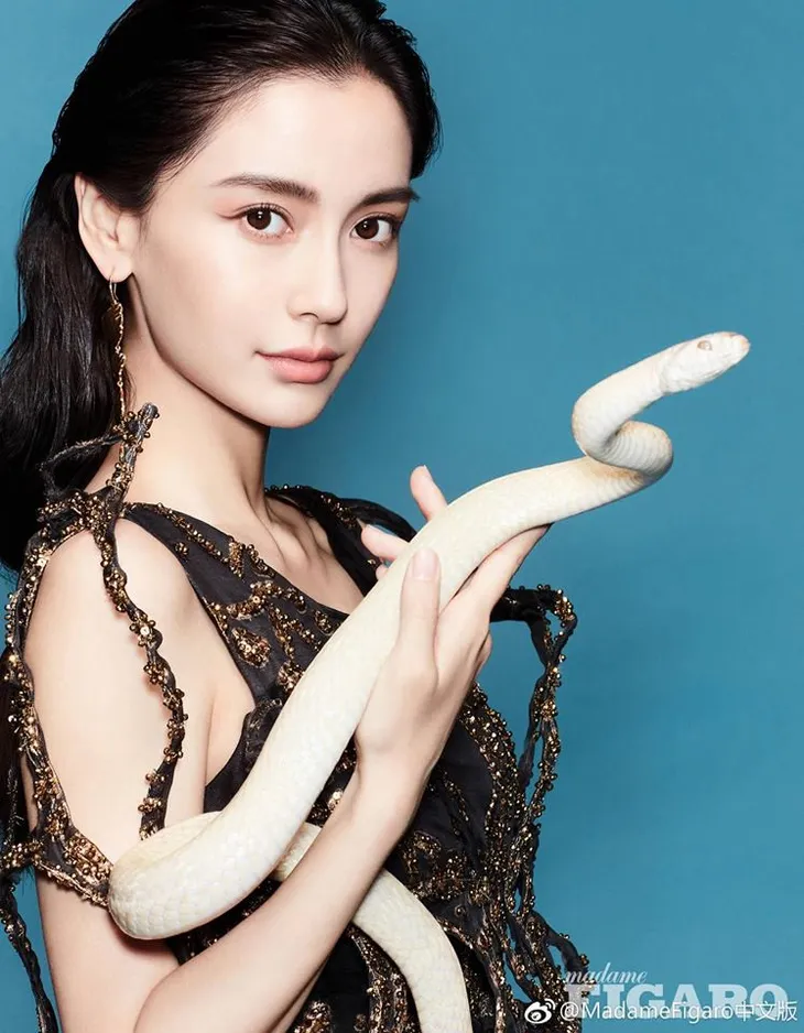 Ấn tượng với loạt hình Angelababy chơi đùa cùng rắn - Ảnh 4. Ấn tượng với loạt hình Angelababy chơi đùa cùng rắn - Ảnh 4.