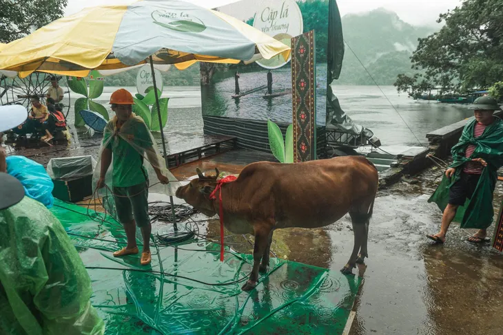 Hàng trăm người đội mưa đến với THTT Cặp lá yêu thương tại Bắc Kạn - Ảnh 9. Hàng trăm người đội mưa đến với THTT Cặp lá yêu thương tại Bắc Kạn - Ảnh 9.