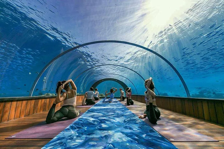Những lớp học yoga đặc biệt nhất thế giới - Ảnh 1. Những lớp học yoga đặc biệt nhất thế giới - Ảnh 1.