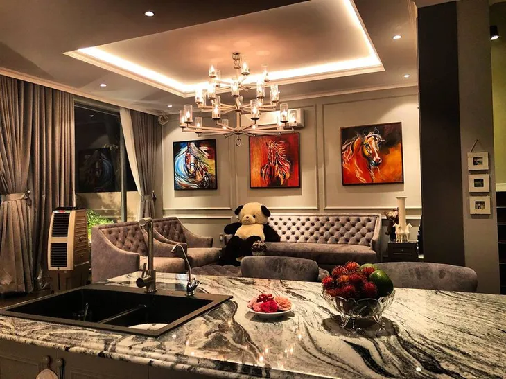 Ngất ngây trước biệt thự xa hoa lộng lẫy của ca sĩ Cao Thái Sơn - Ảnh 1. Ngất ngây trước biệt thự xa hoa lộng lẫy của ca sĩ Cao Thái Sơn - Ảnh 1.