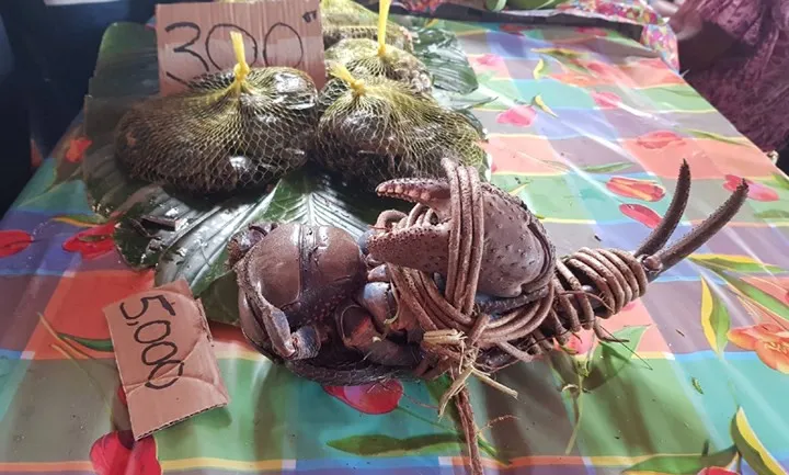 Khám phá Vanuatu - nơi có hàng nghìn người Việt xa xứ sinh sống - Ảnh 13. Khám phá Vanuatu - nơi có hàng nghìn người Việt xa xứ sinh sống - Ảnh 13.