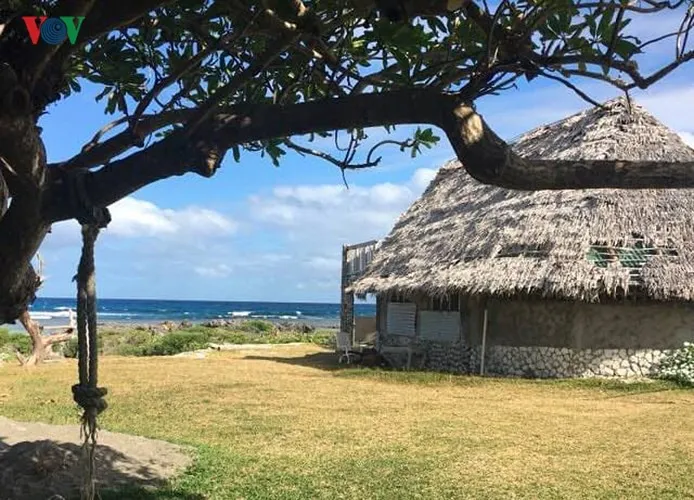Khám phá Vanuatu - nơi có hàng nghìn người Việt xa xứ sinh sống - Ảnh 5. Khám phá Vanuatu - nơi có hàng nghìn người Việt xa xứ sinh sống - Ảnh 5.