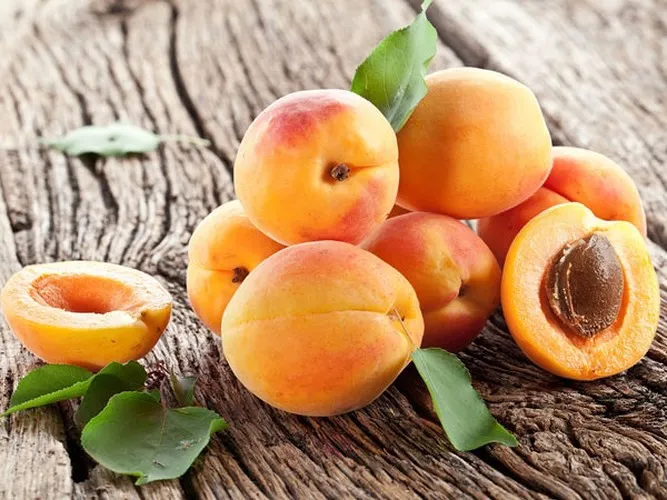 9 loại trái cây low-carb để giảm cân bạn nên thử ngay - Ảnh 5. 9 loại trái cây low-carb để giảm cân bạn nên thử ngay - Ảnh 5.