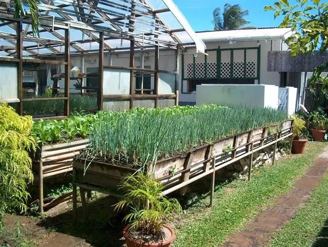 Khi tâm trạng chán nản, bạn nên làm những điều này - Ảnh 4. Khi tâm trạng chán nản, bạn nên làm những điều này - Ảnh 4.