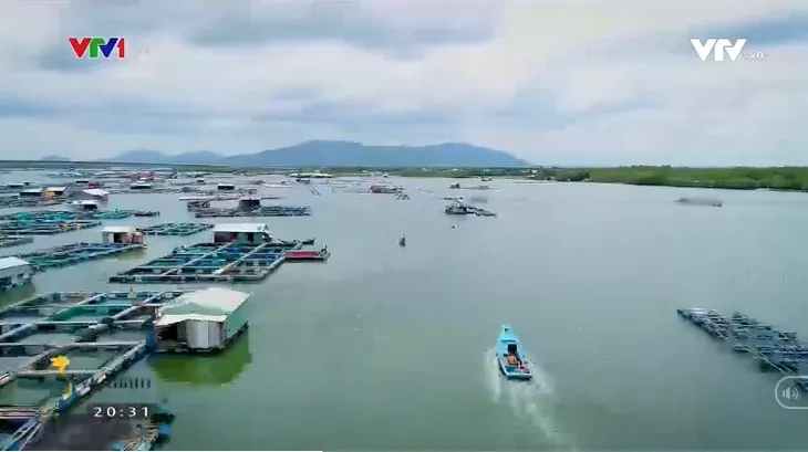 Khám phá vương quốc hàu Long Sơn - Ảnh 2. Khám phá vương quốc hàu Long Sơn - Ảnh 2.