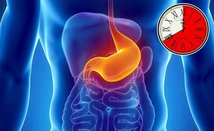 Mất bao lâu để tiêu hóa hết thực phẩm ăn hàng ngày? - Ảnh 3. Mất bao lâu để tiêu hóa hết thực phẩm ăn hàng ngày? - Ảnh 3.