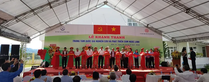 “Sâm Ngọc Linh là quốc bảo, có thể chiếm lĩnh thị trường trong và ngoài nước” - Ảnh 1. “Sâm Ngọc Linh là quốc bảo, có thể chiếm lĩnh thị trường trong và ngoài nước” - Ảnh 1.