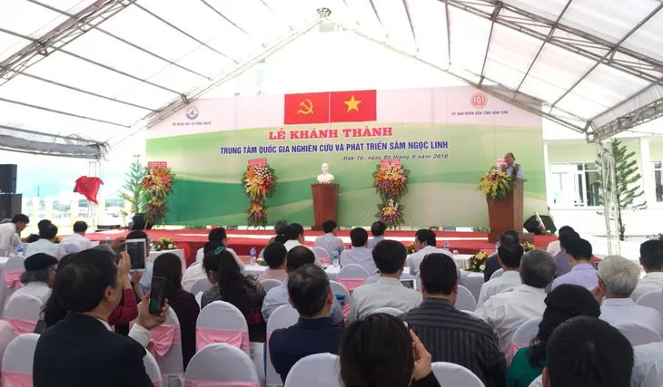 “Sâm Ngọc Linh là quốc bảo, có thể chiếm lĩnh thị trường trong và ngoài nước” - Ảnh 2. “Sâm Ngọc Linh là quốc bảo, có thể chiếm lĩnh thị trường trong và ngoài nước” - Ảnh 2.
