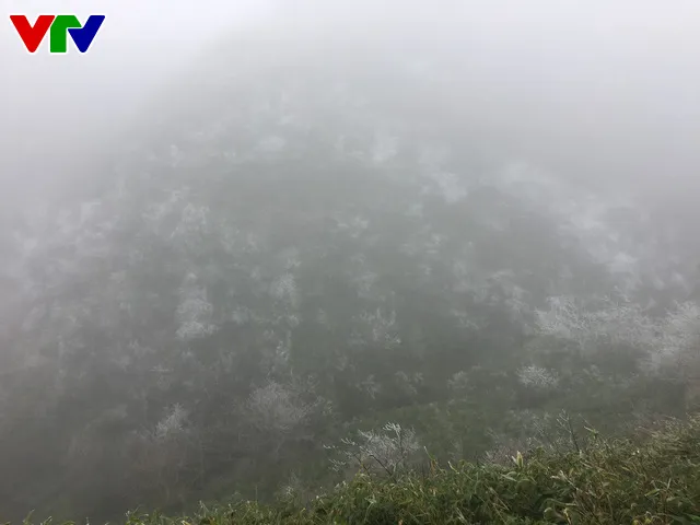 Băng tuyết tuyệt đẹp ở Sa Pa khiến du khách thích thú - Ảnh 9. Băng tuyết tuyệt đẹp ở Sa Pa khiến du khách thích thú - Ảnh 9.