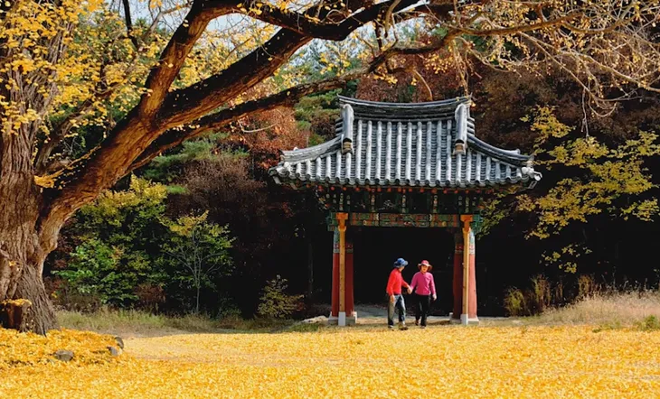 Khám phá 4 mùa rực rỡ của thiên đường du lịch Gyeongsangbuk - Ảnh 2. Khám phá 4 mùa rực rỡ của thiên đường du lịch Gyeongsangbuk - Ảnh 2.