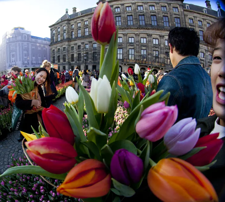 Hàng nghìn bông hoa rực rỡ sắc màu trong Ngày Quốc gia Hoa tulip ở Hà Lan - Ảnh 6. Hàng nghìn bông hoa rực rỡ sắc màu trong Ngày Quốc gia Hoa tulip ở Hà Lan - Ảnh 6.