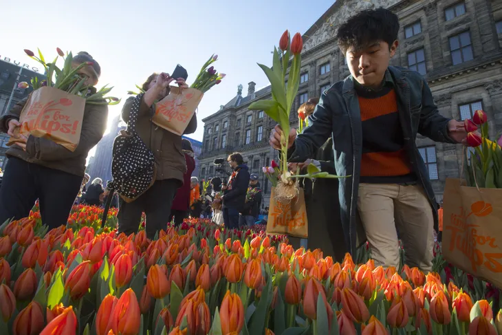 Hàng nghìn bông hoa rực rỡ sắc màu trong Ngày Quốc gia Hoa tulip ở Hà Lan - Ảnh 3. Hàng nghìn bông hoa rực rỡ sắc màu trong Ngày Quốc gia Hoa tulip ở Hà Lan - Ảnh 3.