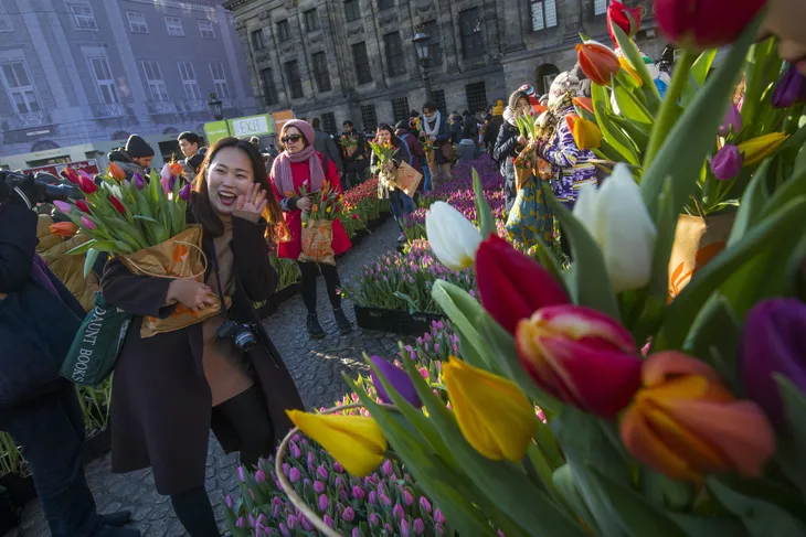 Hàng nghìn bông hoa rực rỡ sắc màu trong Ngày Quốc gia Hoa tulip ở Hà Lan - Ảnh 4. Hàng nghìn bông hoa rực rỡ sắc màu trong Ngày Quốc gia Hoa tulip ở Hà Lan - Ảnh 4.
