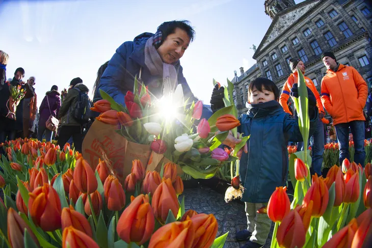 Hàng nghìn bông hoa rực rỡ sắc màu trong Ngày Quốc gia Hoa tulip ở Hà Lan - Ảnh 5. Hàng nghìn bông hoa rực rỡ sắc màu trong Ngày Quốc gia Hoa tulip ở Hà Lan - Ảnh 5.