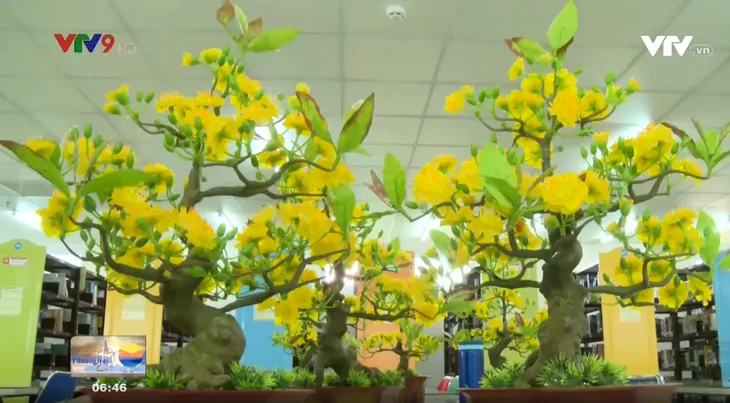 Chàng trai biến hóa vảy cá thành hoa mai - Ảnh 1. Chàng trai biến hóa vảy cá thành hoa mai - Ảnh 1.