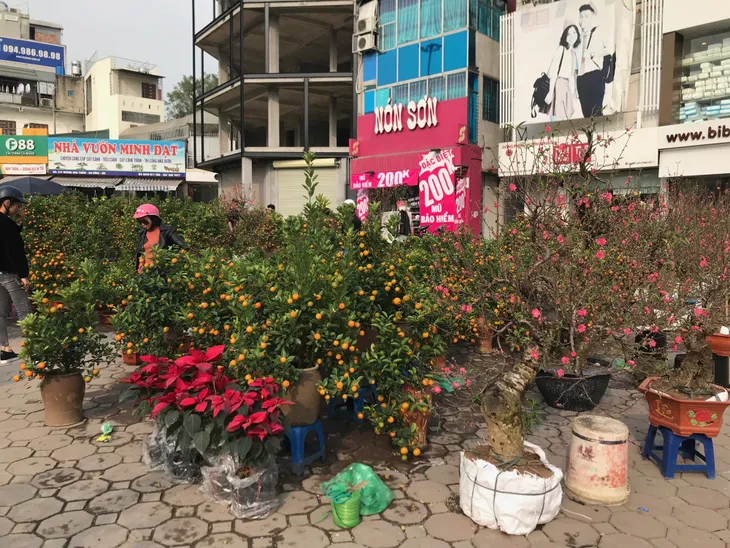 Rực rỡ phố hoa Hoàng Hoa Thám dịp cận Tết - Ảnh 1. Rực rỡ phố hoa Hoàng Hoa Thám dịp cận Tết - Ảnh 1.