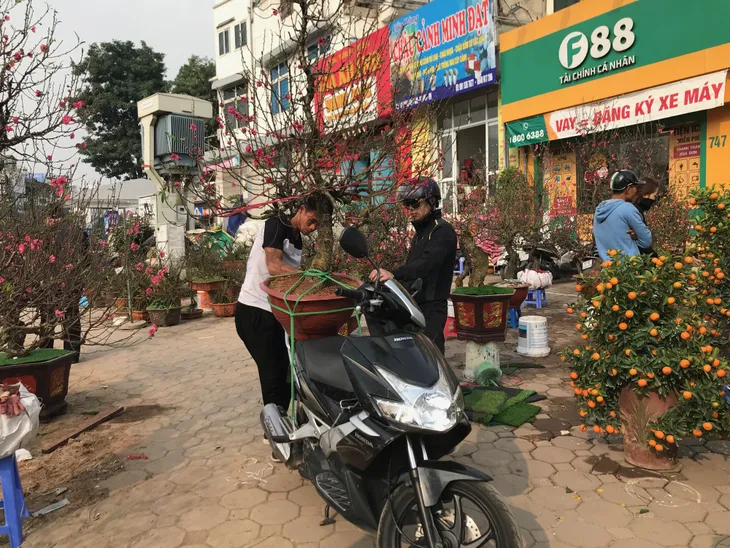 Rực rỡ phố hoa Hoàng Hoa Thám dịp cận Tết - Ảnh 8. Rực rỡ phố hoa Hoàng Hoa Thám dịp cận Tết - Ảnh 8.