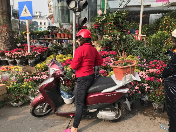 Rực rỡ phố hoa Hoàng Hoa Thám dịp cận Tết - Ảnh 12. Rực rỡ phố hoa Hoàng Hoa Thám dịp cận Tết - Ảnh 12.
