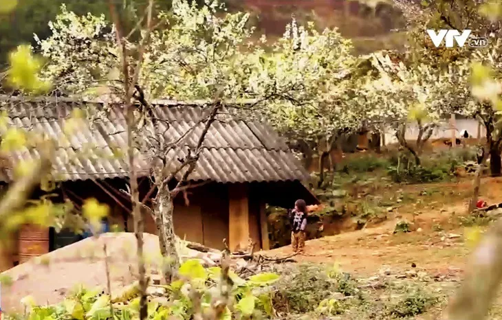 Vẻ đẹp Tây Bắc mùa xuân về - Ảnh 1. Vẻ đẹp Tây Bắc mùa xuân về - Ảnh 1.