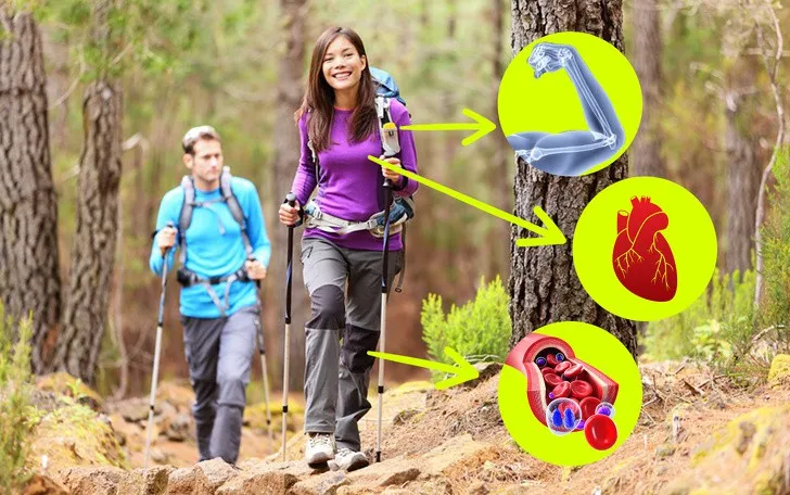 8 điều kỳ diệu sẽ xảy ra nếu đi bộ mỗi ngày - Ảnh 6. 8 điều kỳ diệu sẽ xảy ra nếu đi bộ mỗi ngày - Ảnh 6.