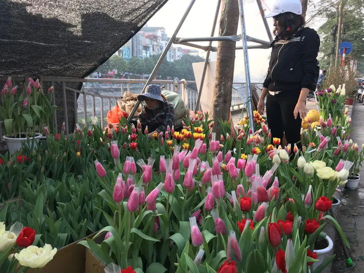 Ngày giáp Tết, mọi góc phố Hà Nội đều biến thành chợ hoa - Ảnh 4.