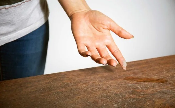 11 mầm bệnh trong nhà mà bạn không ngờ đến - Ảnh 1. 11 mầm bệnh trong nhà mà bạn không ngờ đến - Ảnh 1.