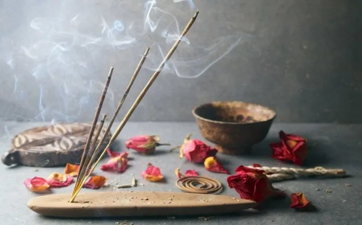11 mầm bệnh trong nhà mà bạn không ngờ đến - Ảnh 8. 11 mầm bệnh trong nhà mà bạn không ngờ đến - Ảnh 8.