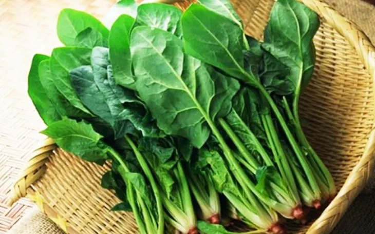 Siêu thực phẩm ngăn ngừa thiếu máu - Ảnh 1. Siêu thực phẩm ngăn ngừa thiếu máu - Ảnh 1.