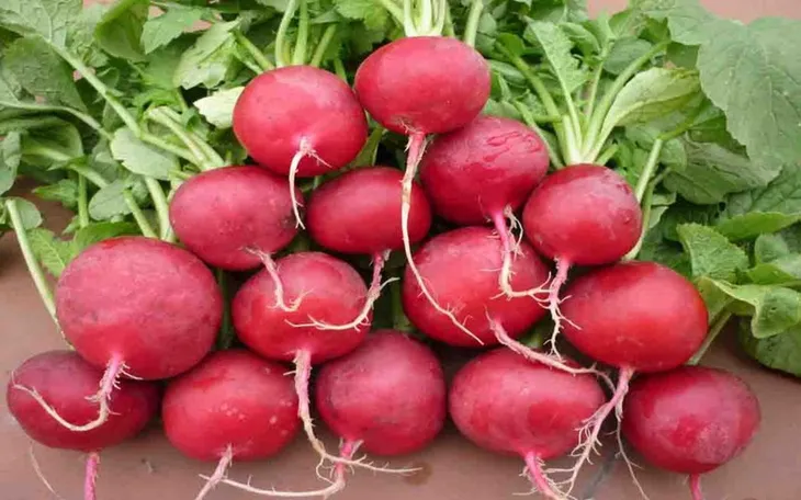Siêu thực phẩm ngăn ngừa thiếu máu - Ảnh 2. Siêu thực phẩm ngăn ngừa thiếu máu - Ảnh 2.