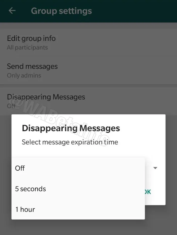 WhatsApp thử nghiệm tính năng tin nhắn tự hủy - Ảnh 1. WhatsApp thử nghiệm tính năng tin nhắn tự hủy - Ảnh 1.