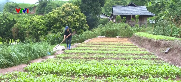 Những lá đơn xin ra khỏi hộ nghèo - Ảnh 1.