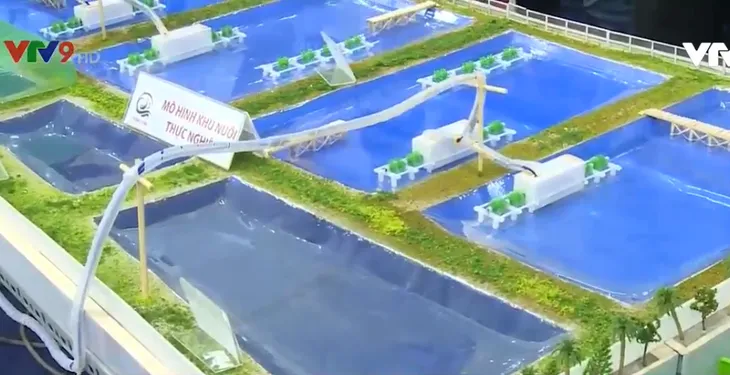 Triển lãm Quốc tế ngành nuôi trồng thủy sản năm 2019 - Ảnh 2. Triển lãm Quốc tế ngành nuôi trồng thủy sản năm 2019 - Ảnh 2.