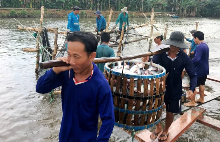 Mỹ tiếp tục là thị trường xuất khẩu thủy sản lớn nhất của Việt Nam - Ảnh 1. Mỹ tiếp tục là thị trường xuất khẩu thủy sản lớn nhất của Việt Nam - Ảnh 1.