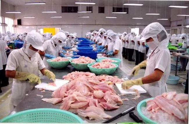 665 doanh nghiệp thủy sản Việt Nam được xuất khẩu vào Trung Quốc - Ảnh 2. 665 doanh nghiệp thủy sản Việt Nam được xuất khẩu vào Trung Quốc - Ảnh 2.