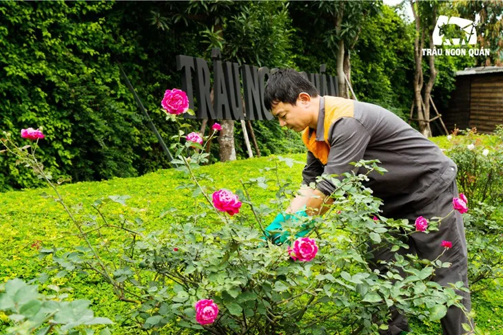 Trải nghiệm ấn tượng tại nhà hàng với không gian độc đáo đất Hà Thành - Ảnh 3. Trải nghiệm ấn tượng tại nhà hàng với không gian độc đáo đất Hà Thành - Ảnh 3.