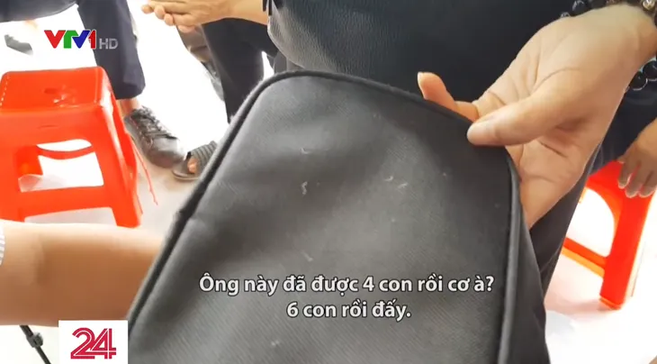 Chữa viêm xoang bằng cách bắt sâu: Tin được không? - Ảnh 3.
